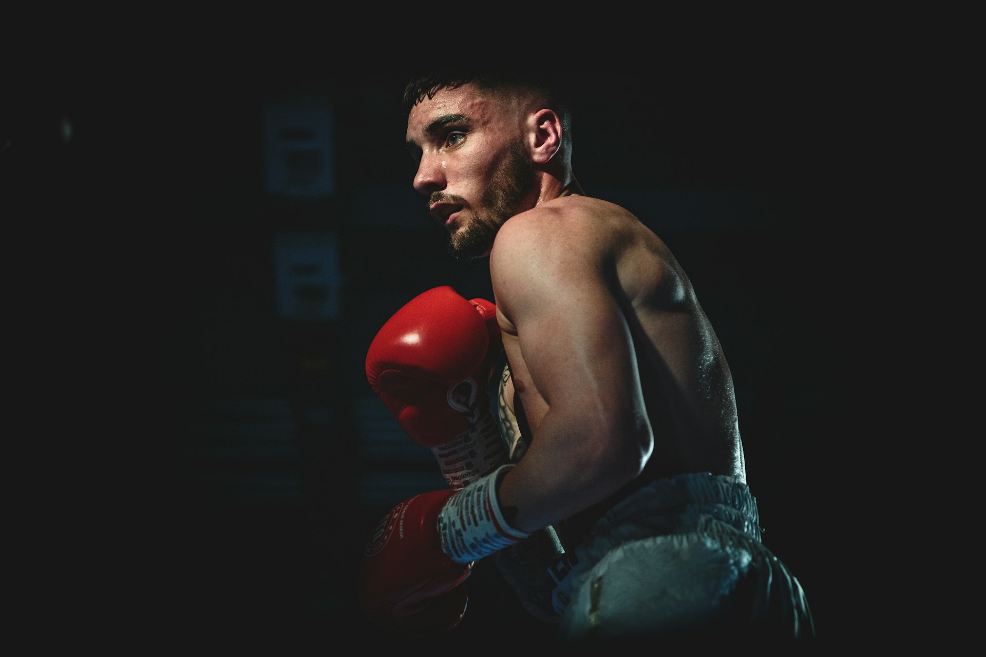 Fighter